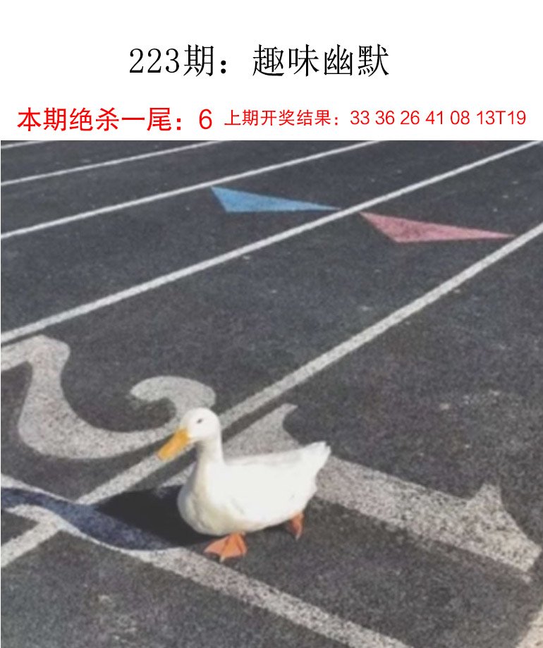 2024223期趣味幽默