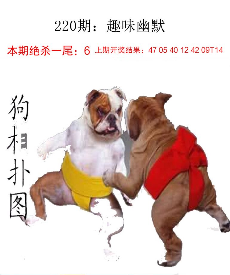 2024220期趣味幽默