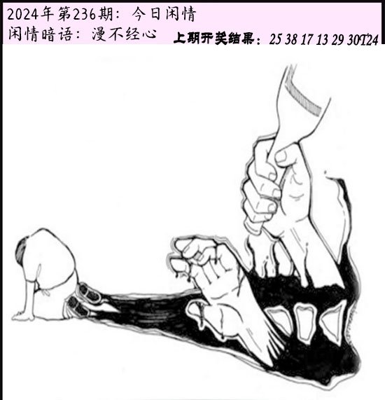 2024236期今日闲情