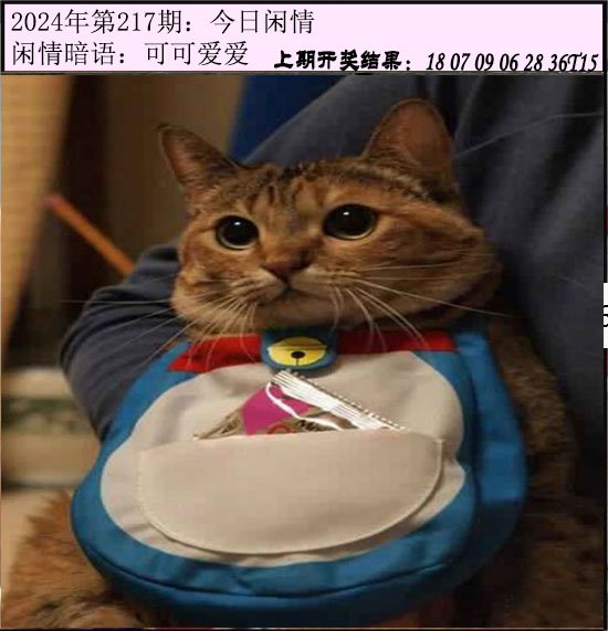 2024217期今日闲情