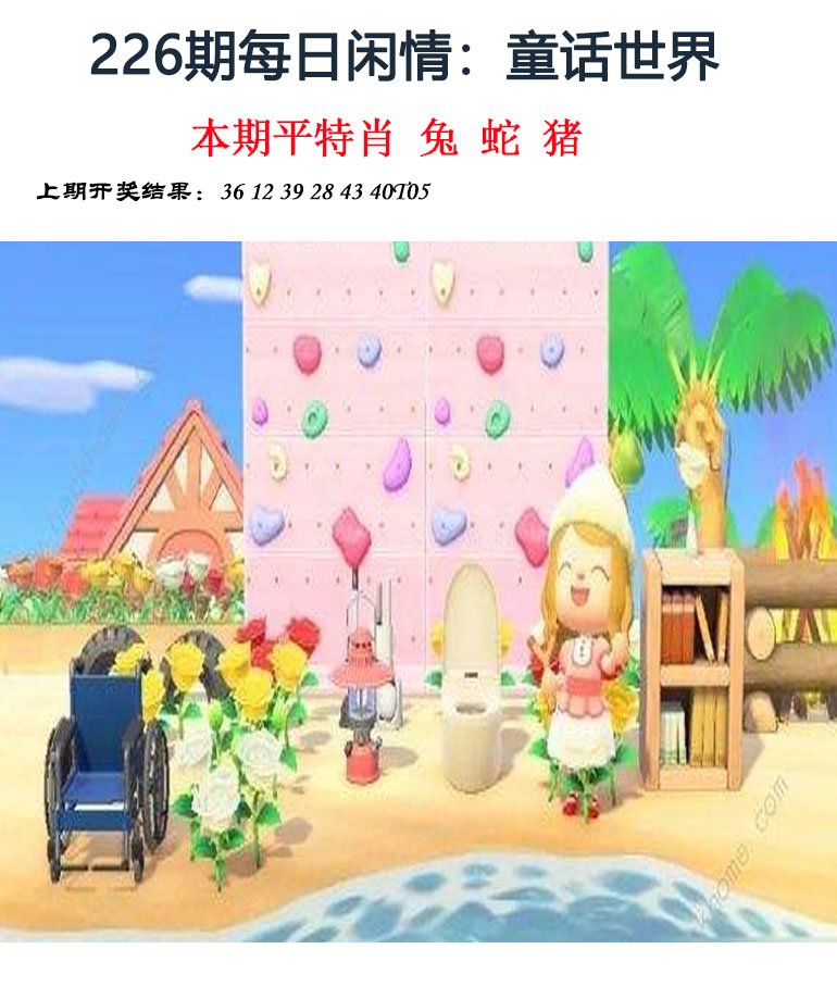 2024226期每日闲情