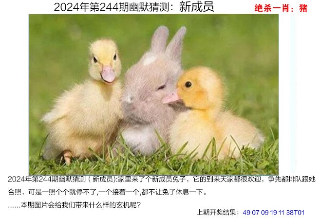 2024244期幽默猜测