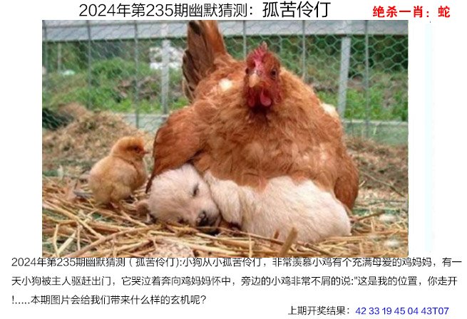 2024235期幽默猜测