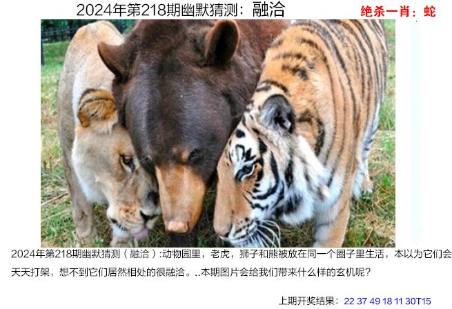 2024218期幽默猜测