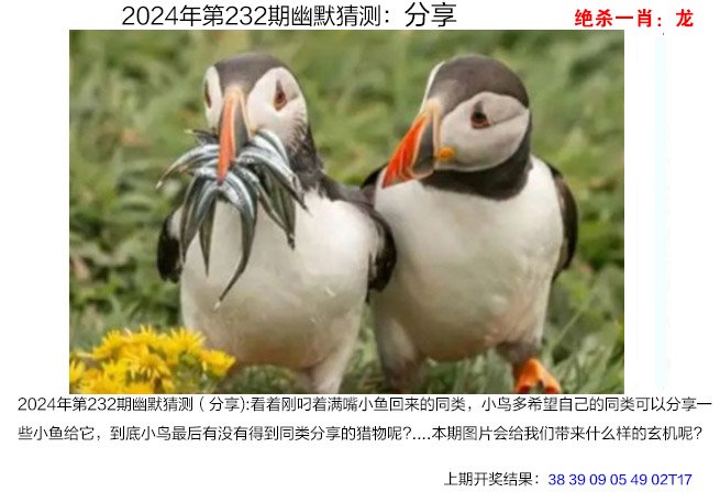 2024232期幽默猜测