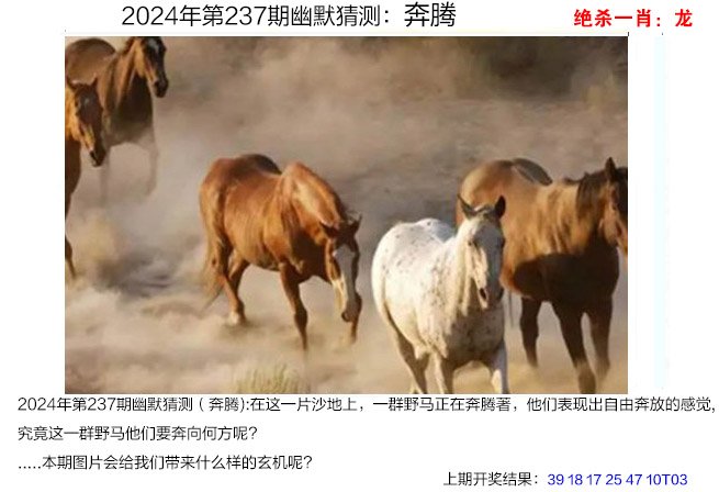 2024237期幽默猜测