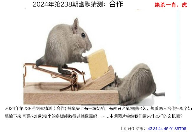 2024238期幽默猜测
