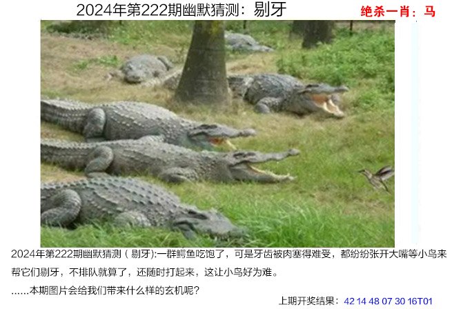 2024222期幽默猜测
