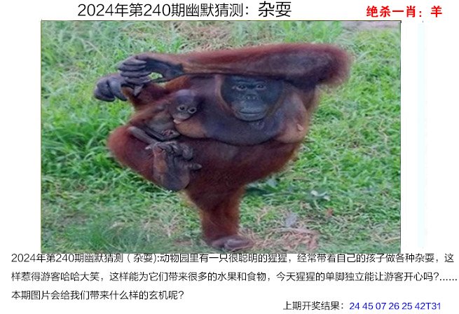 2024240期幽默猜测