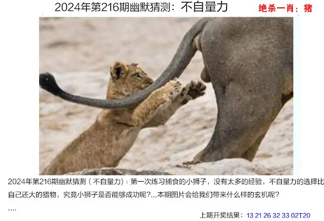 2024216期幽默猜测