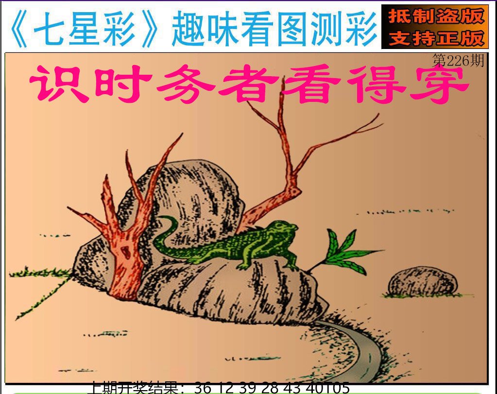 2024226期澳版七星彩图