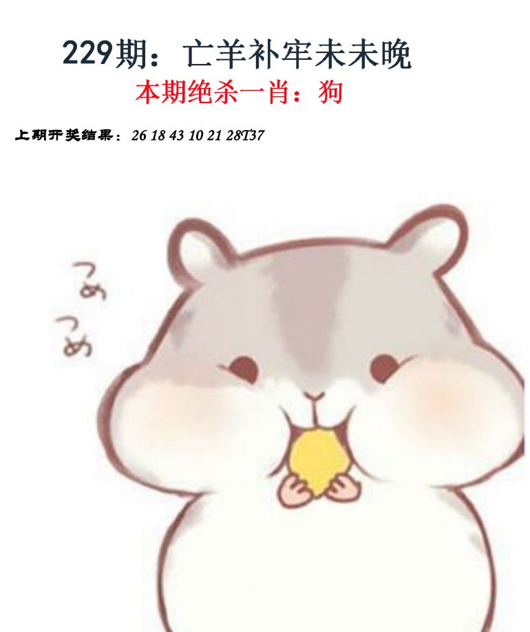 2024229期金钱豹自有真功夫