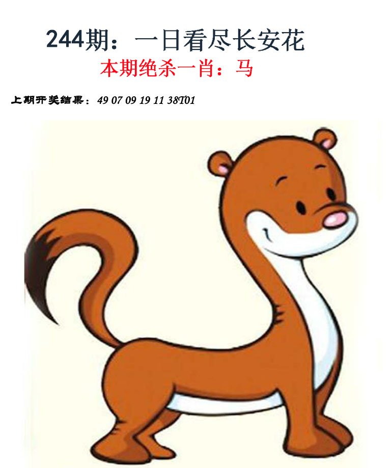 2024244期金钱豹自有真功夫