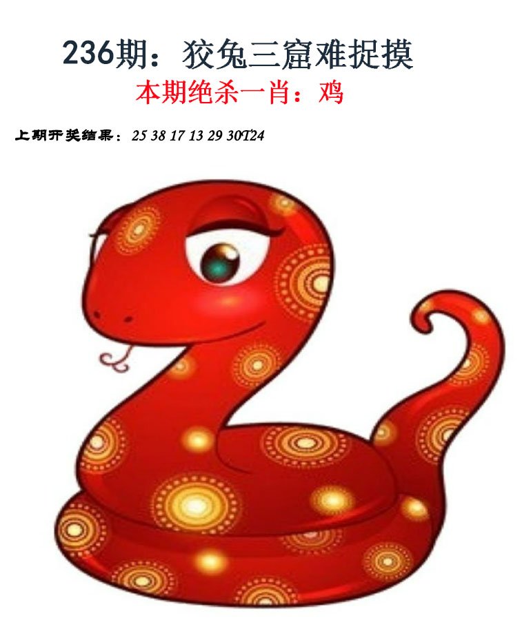 2024236期金钱豹自有真功夫
