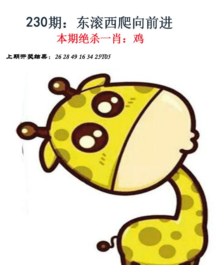 2024230期金钱豹自有真功夫