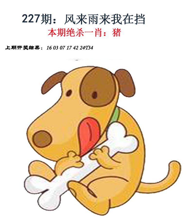 2024227期金钱豹自有真功夫