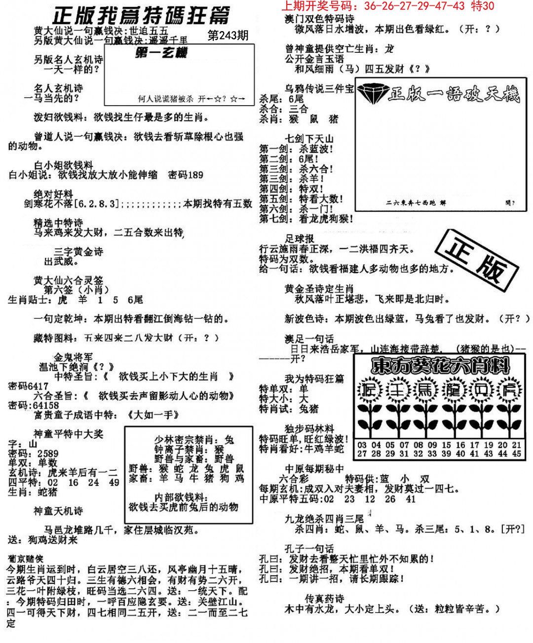 2024243期我为特码狂篇