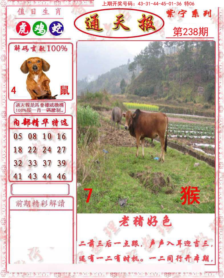 2024238期救通报