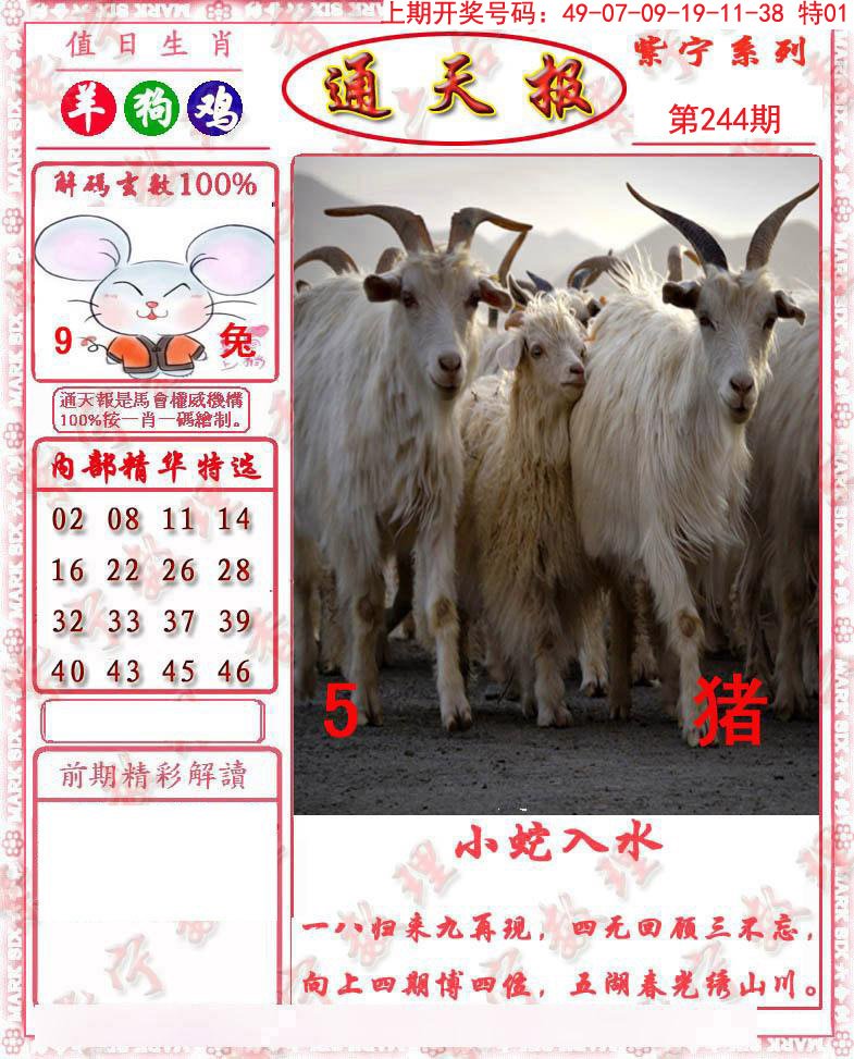 2024244期救通报