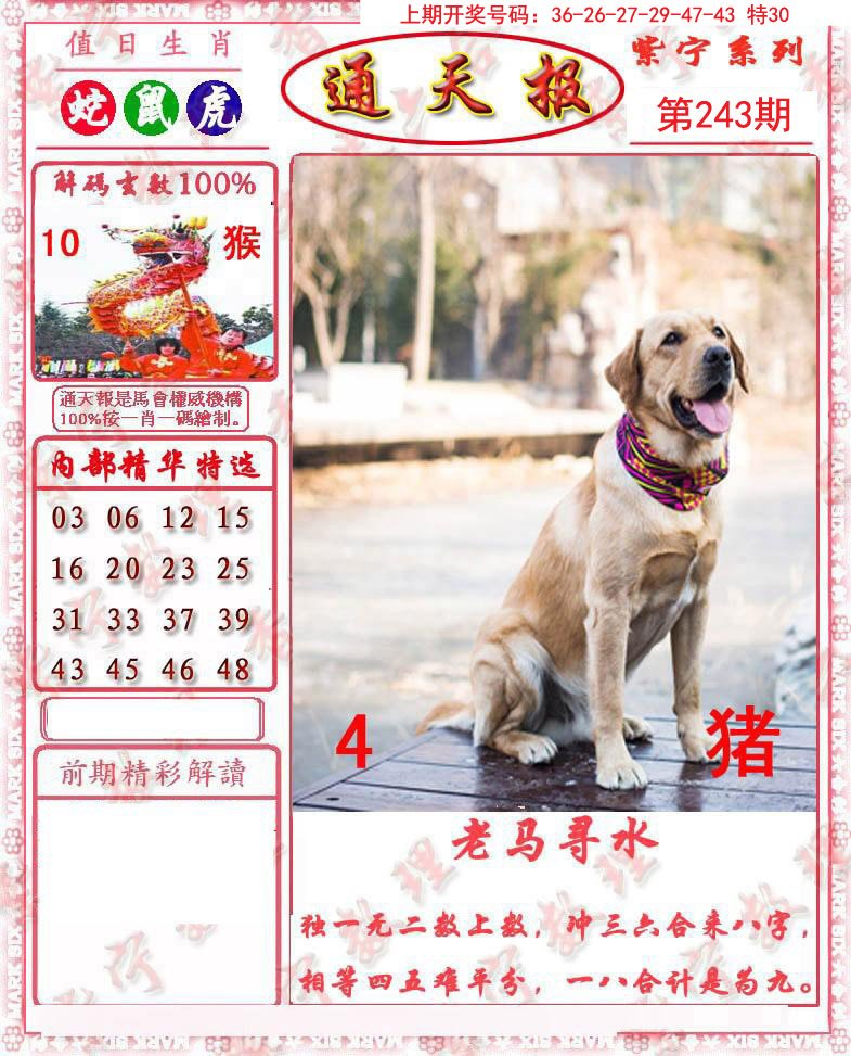 2024243期救通报
