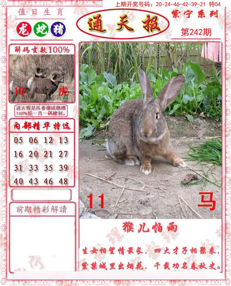 2024242期救通报