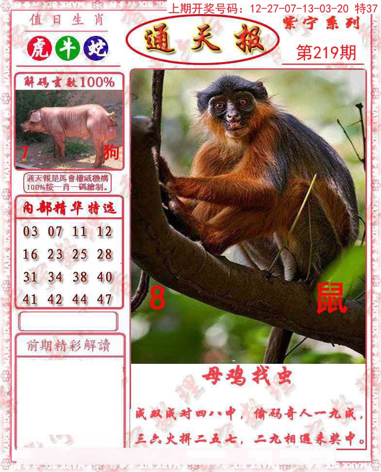 2024219期救通报
