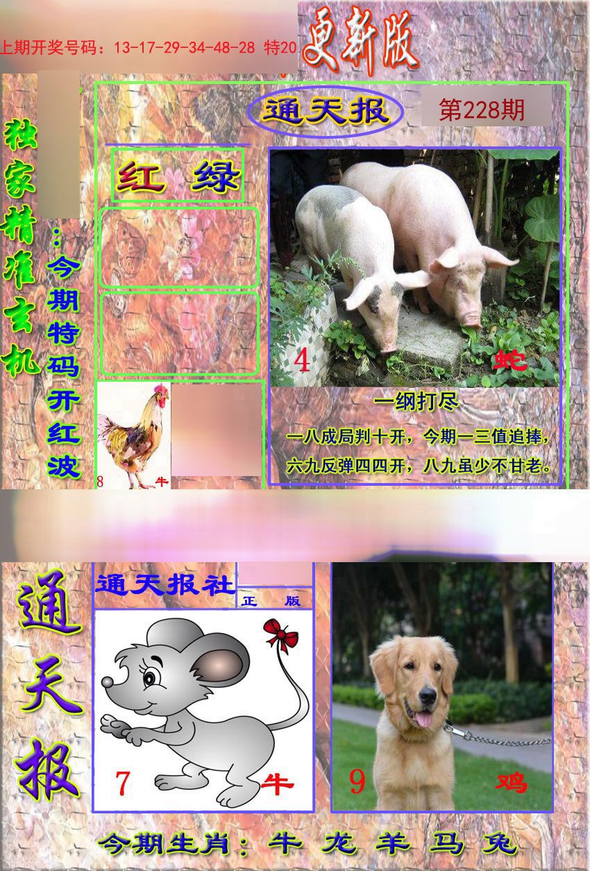 2024228期新通报