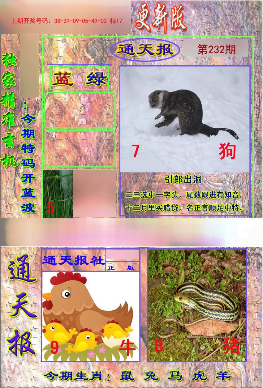2024232期新通报