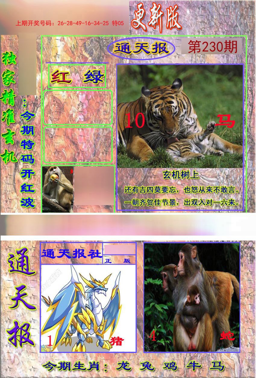 2024230期新通报