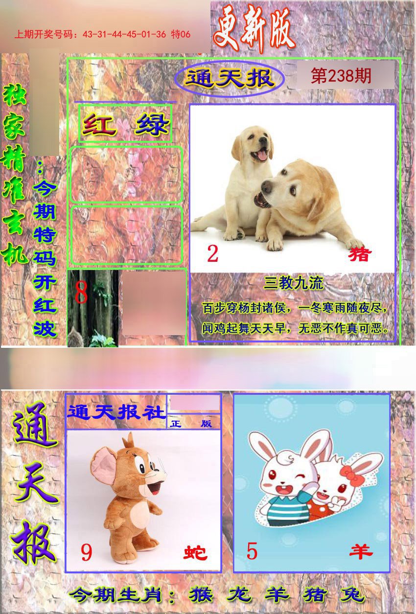 2024238期新通报