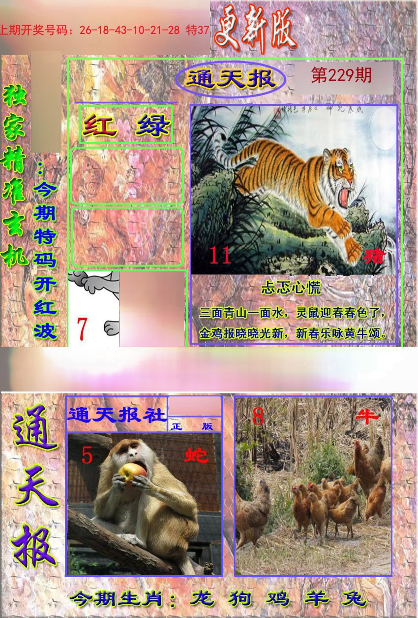 2024229期新通报