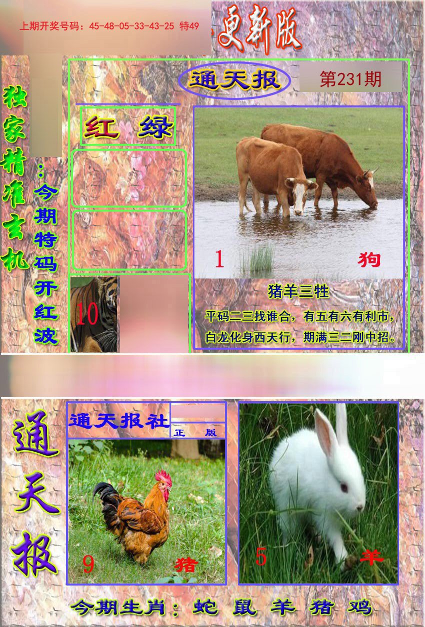 2024231期新通报