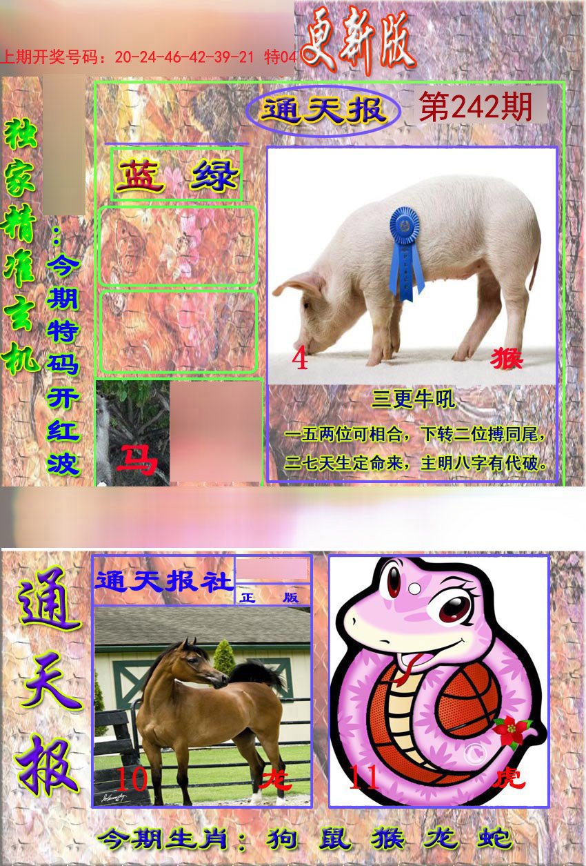 2024242期新通报