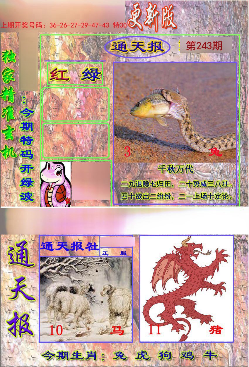 2024243期新通报