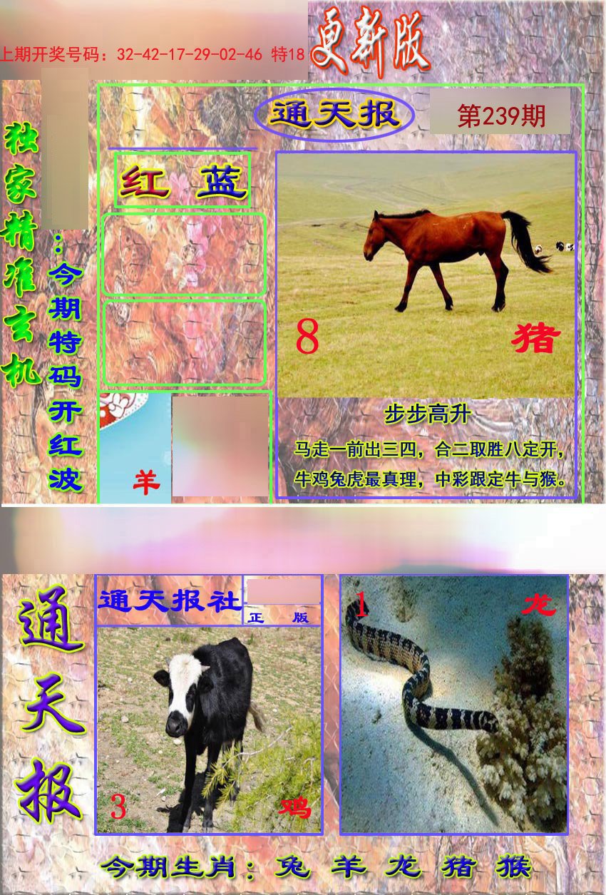 2024239期新通报