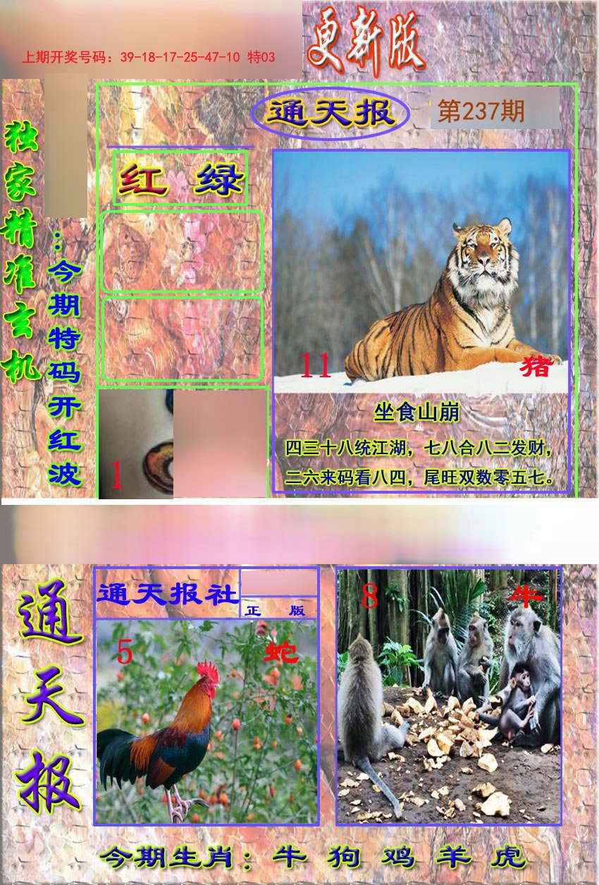 2024237期新通报