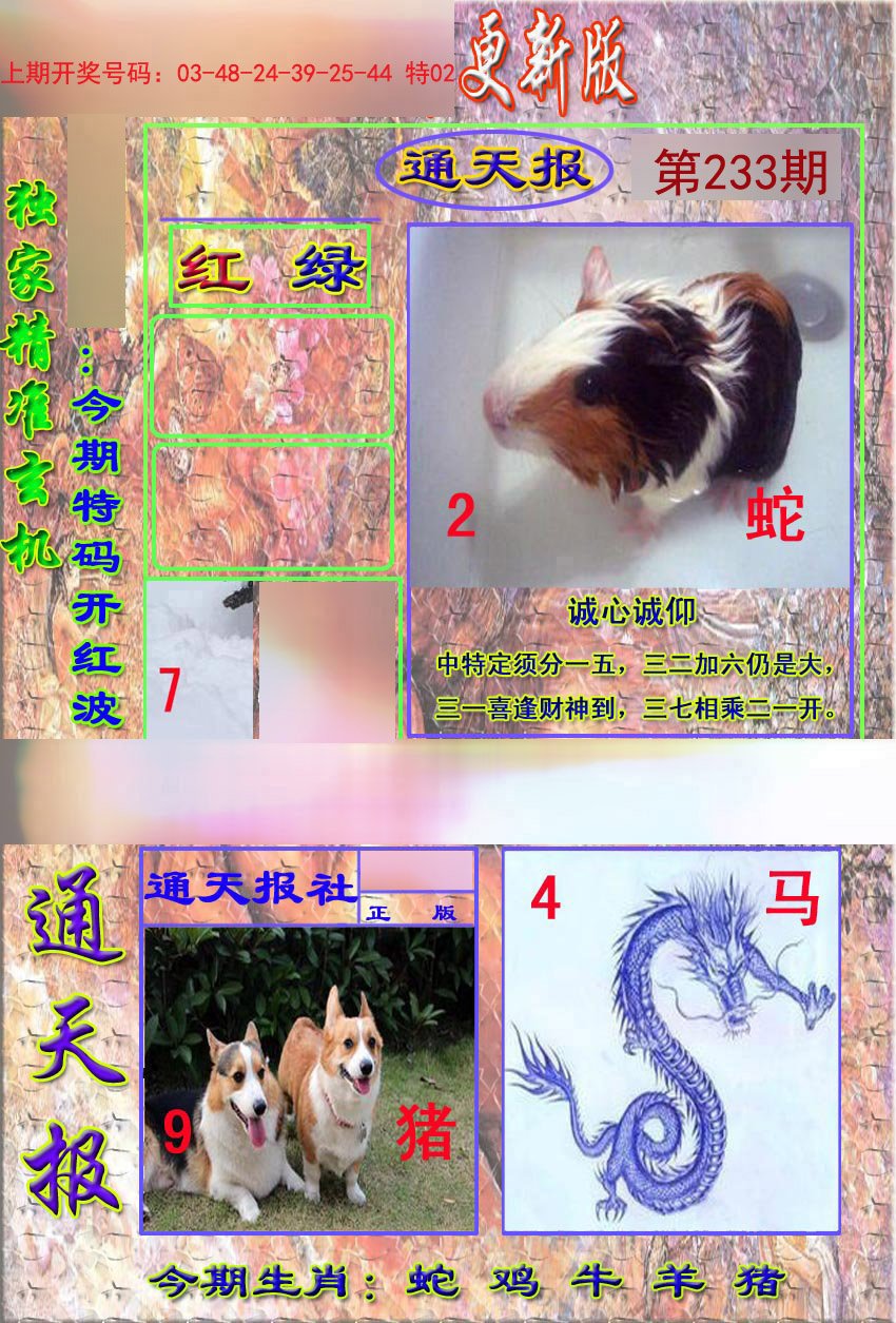 2024233期新通报