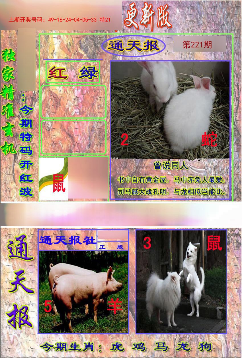 2024221期新通报