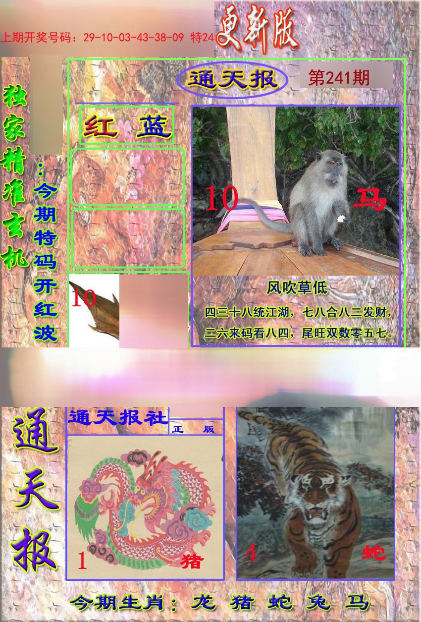 2024241期新通报