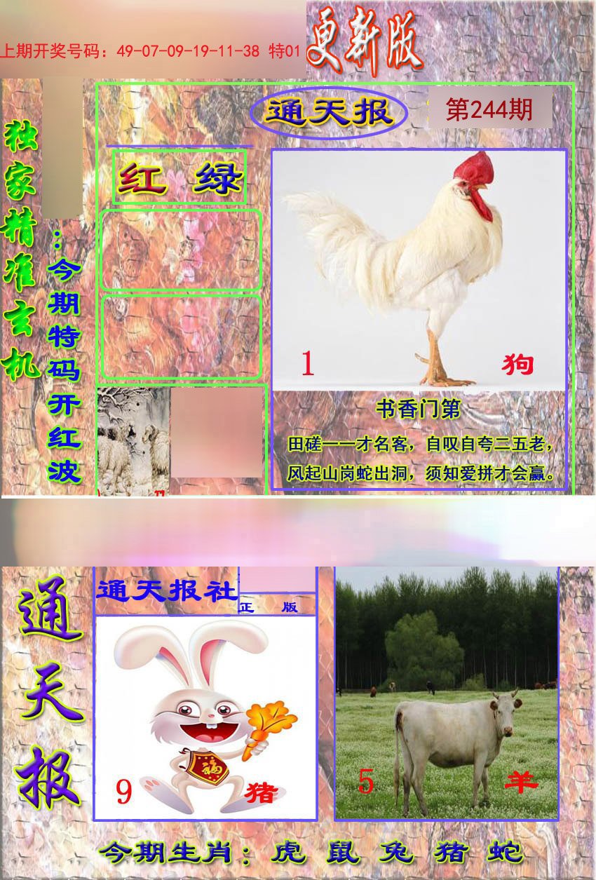 2024244期新通报