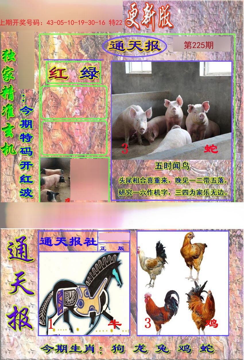 2024225期新通报