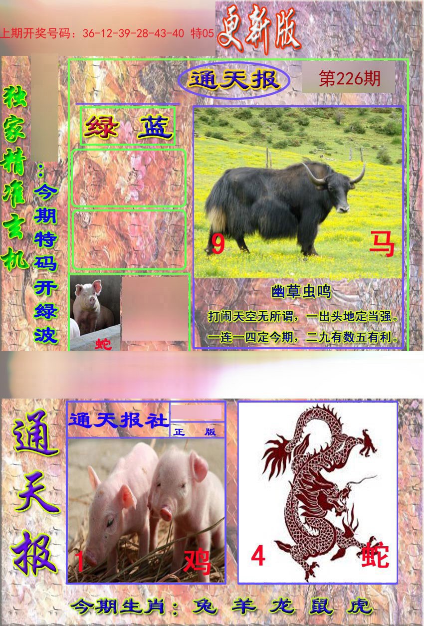 2024226期新通报