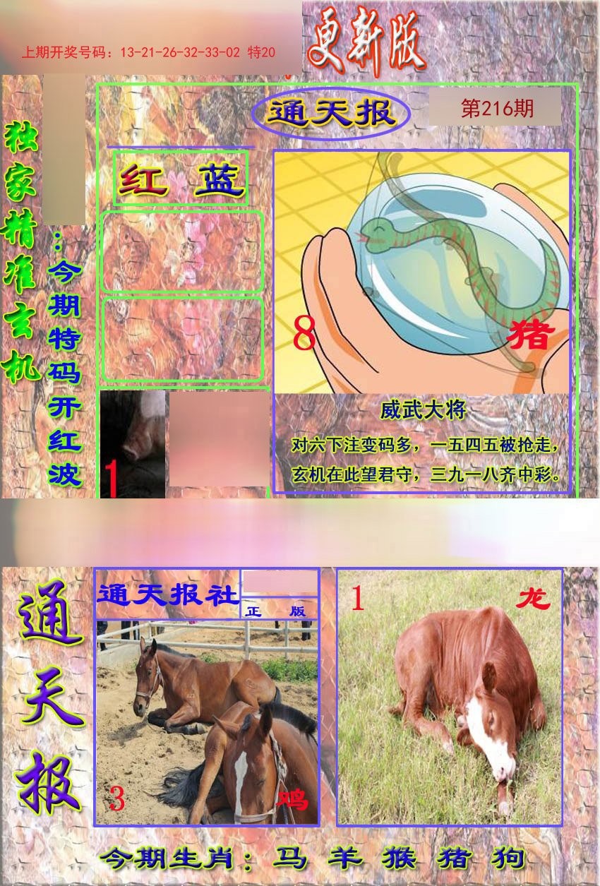 2024216期新通报
