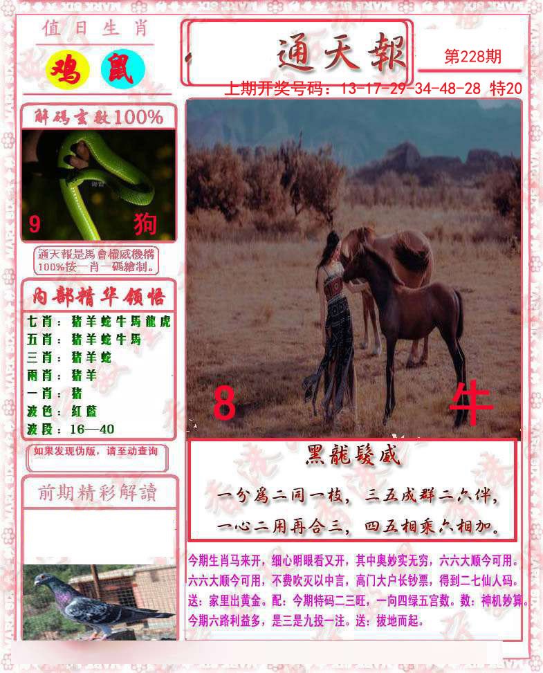 2024228期马经通天报