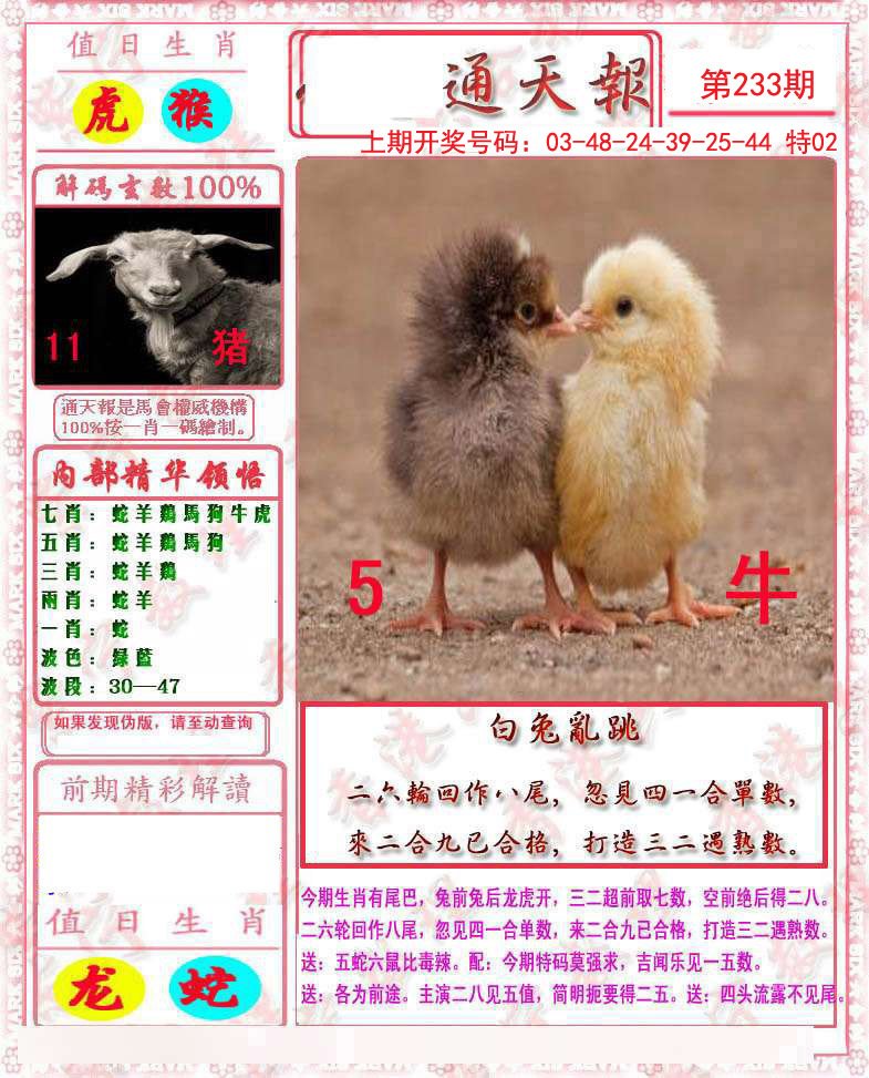 2024233期马经通天报