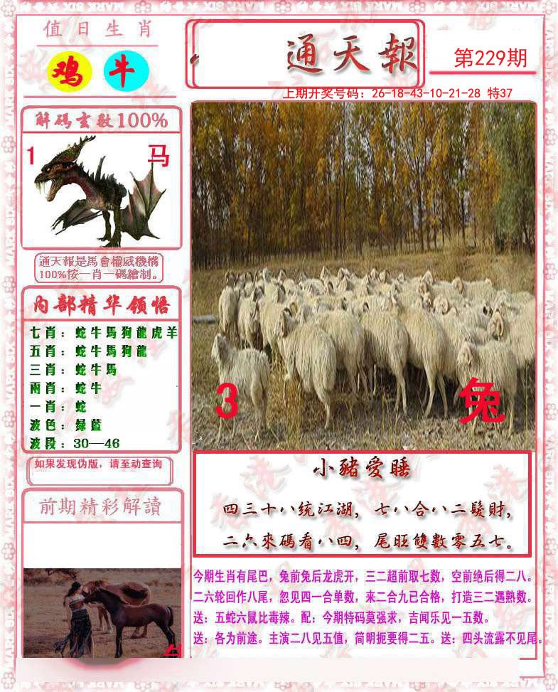 2024229期马经通天报