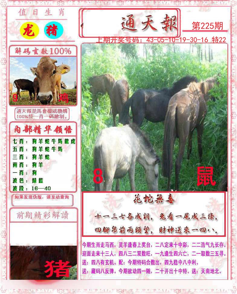 2024225期马经通天报