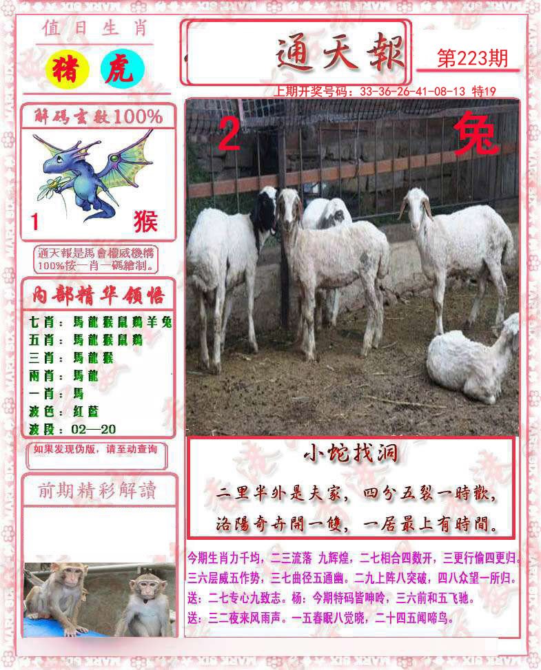 2024223期马经通天报