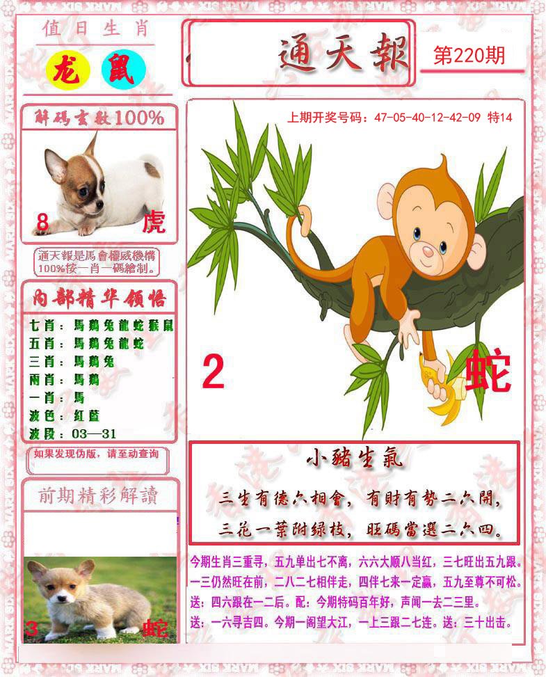 2024220期马经通天报