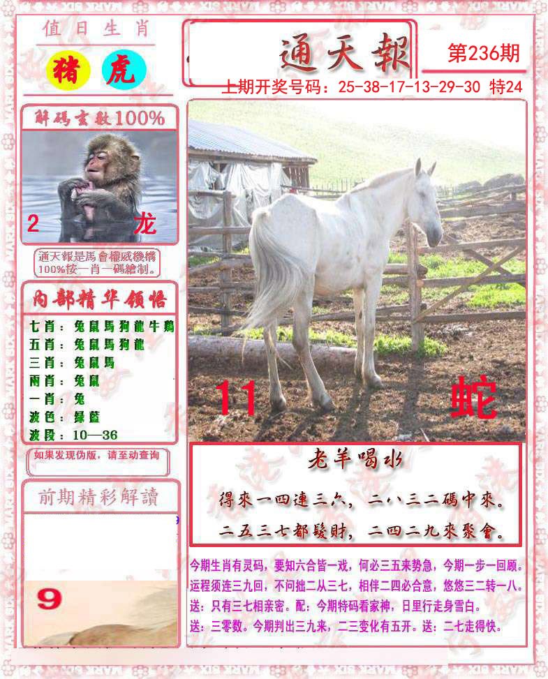 2024236期马经通天报